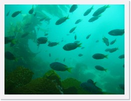 IMG_0577 * Blacksmith * 3264 x 2448 * (1.41MB)