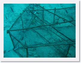 IMG_0171 * Fish traps * 3072 x 2304 * (2.26MB)